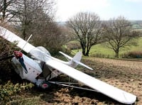 Pilot escapes as light plane crashes