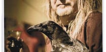 Viking raven still missing in Kingsteignton