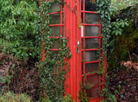 Phone box to greenhouse…