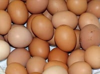 Egg products removed from Teignbridge shelves