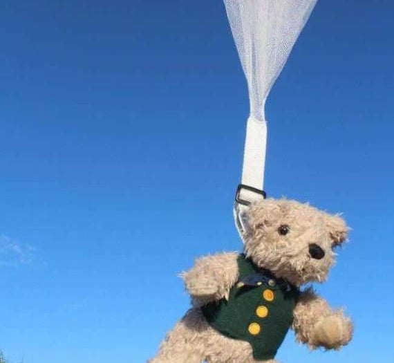 Ready, teddy, go! Parachuting bears for church funds