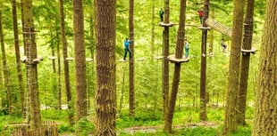 Plans for new high-wire adventure course