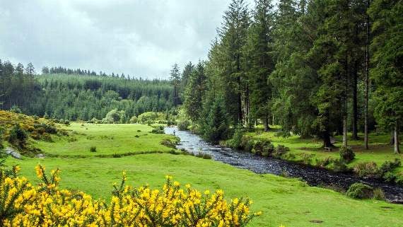 Dartmoor beauty spot begins to recover after emergency powers invoked after littering, human waste and 100 fire-pit