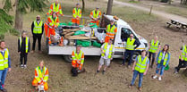 Forestry clean up? They're lovin' it!