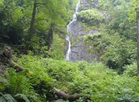 Mums go free at Devon's highest waterfall for Mother's Day