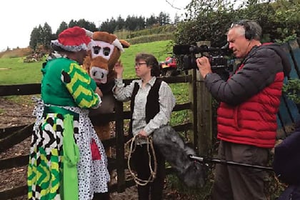 Panto Cow follows in War Horse’s footsteps
