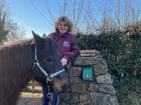 Pony charity devastated as thieves strike