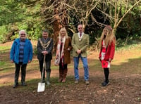 Teignmouth plants a tree to celebrate the Platinum Jubilee