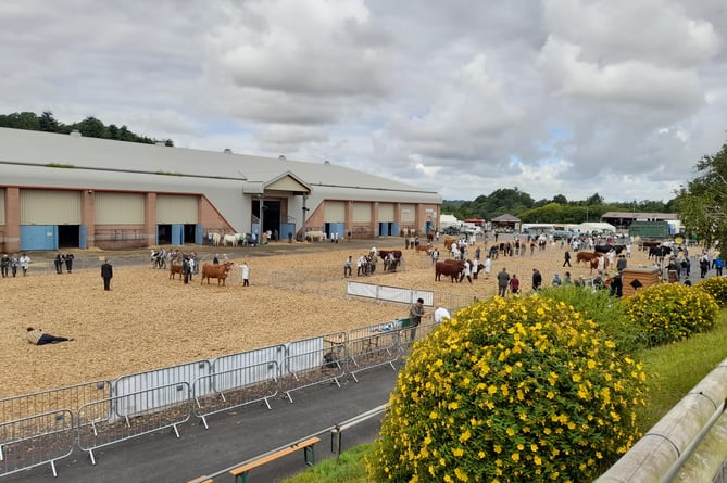 Devon County Show 2022