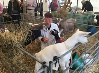 Goat breeder is a dab hand at showing