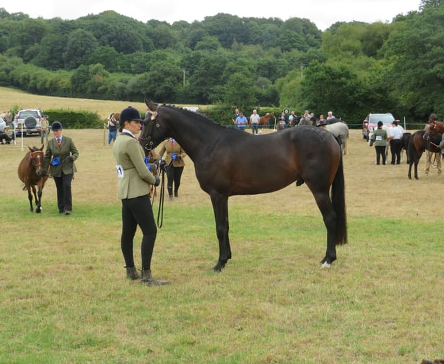 Bumper year as traditional show returns with best of rural life