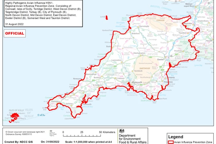 A bird flu exclusion zone has been announced across the South West. Credit: Defra