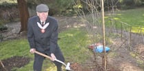 Watch as living legacy of Queen is planted in Teignmouth