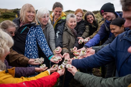 Securing Dartmoor’s future through community projects