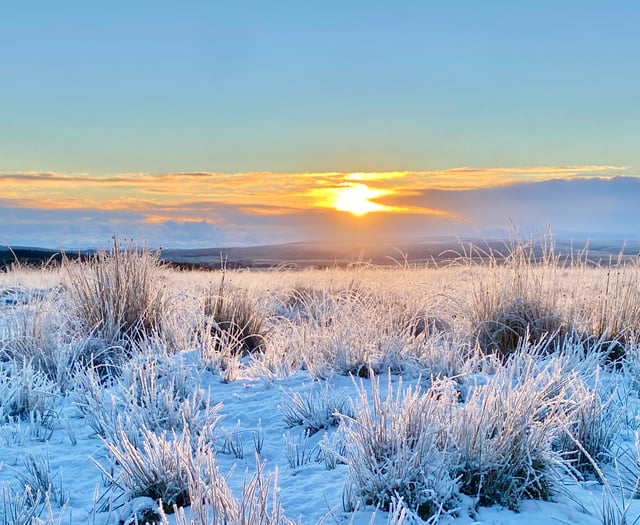 Yellow warning of ice and fog issued for tonight and tomorrow morning
