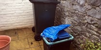 Christmas rubbish bin collections