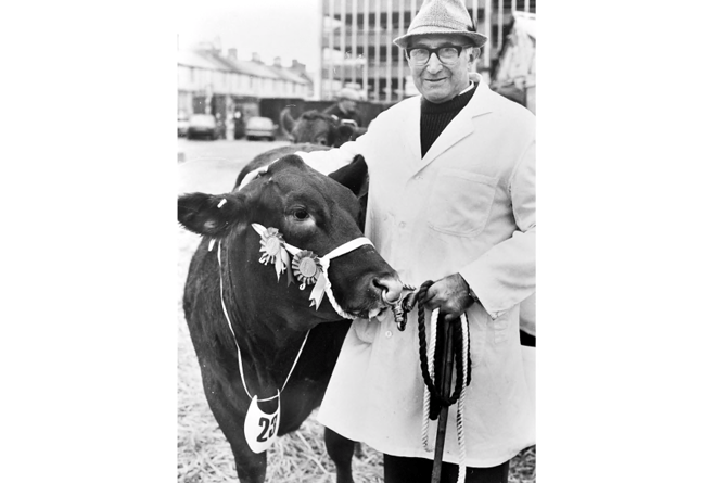 Newton Abbot Christmas Show from December 1990. Herbert  Vallance (pictured above) with show champion Barbara, a pure South Devon. Meanwhile his nine year old grandson David Vallance of Lower Whiddon Farm, Ashburton, was showing  
Limousin/South Devon Cross called Peter
