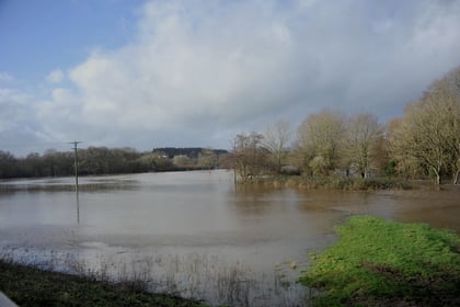 Flood warnings this morning - heavy rain and winds batter Teignbridge 