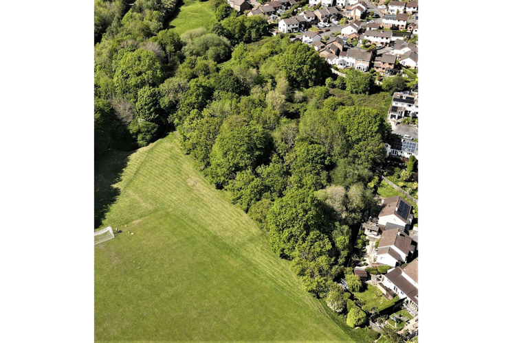 Bonds Meadow, Bovey Tracey 