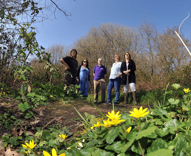 Ruling means meadow is safe from developers