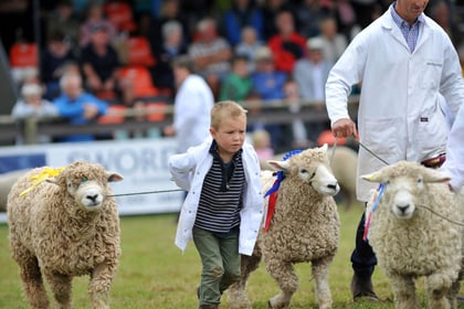 Young Farmers to debate farming opportunities at Devon County Show