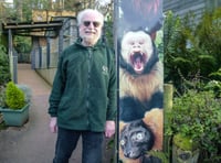 Vote for Geoff to be a zoo volunteer Superstar