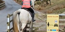 Drivers in Devon asked to 'rein' in their speed for horses 