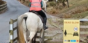 Drivers in Devon asked to 'rein' in their speed for horses 