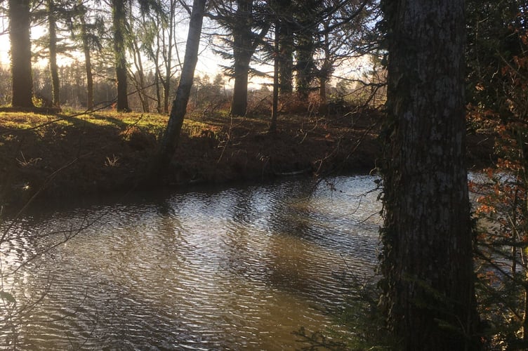 Stover Country Park