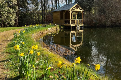 Visitors invited to Dartmoor open garden