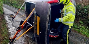 Couple and a dog rescued from overturned car