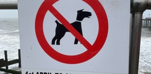 Dog lovers complain about April 1 dog ban at Teignmouth beaches