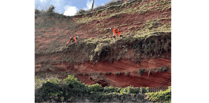 Network Rail team scale Dawlish cliff face to clear vegetation