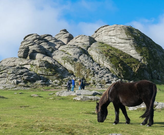 Dartmoor National Park Authority to appeal wild camping ban