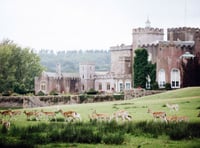 Castle fair celebrates  80 years of the Army charity