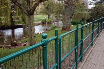 New railings to protect Dawlish waterfowl 