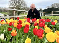 Grand piano is key to success in garden marquee at county show