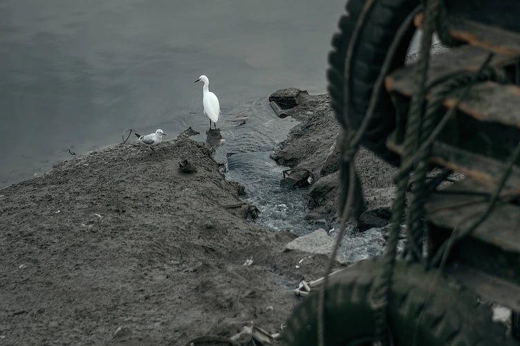 sewage river stock image