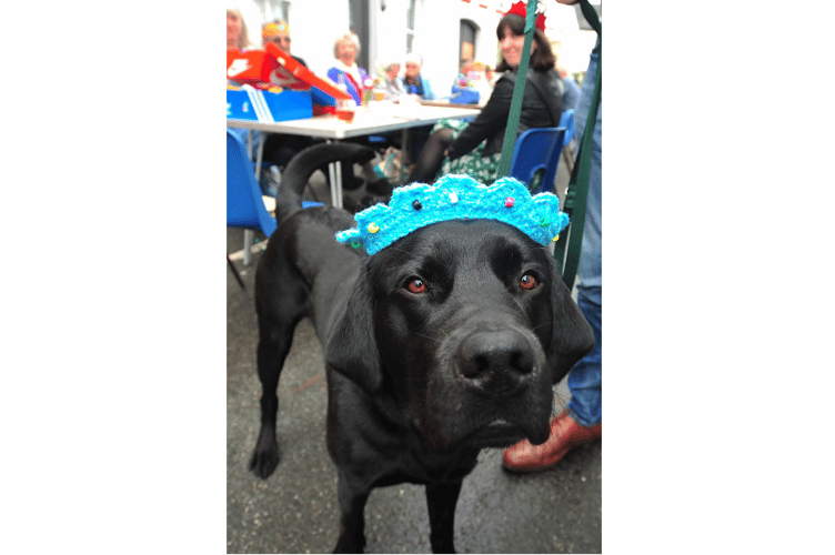 Bishopsteignton Coronation Street Party