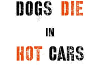 Dogs die in hot cars warn Newton Abbot police