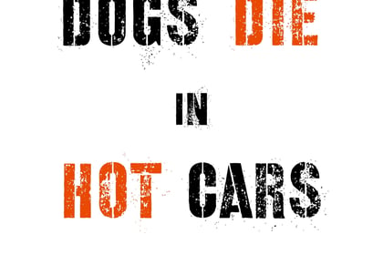 Dogs die in hot cars warn Newton Abbot police