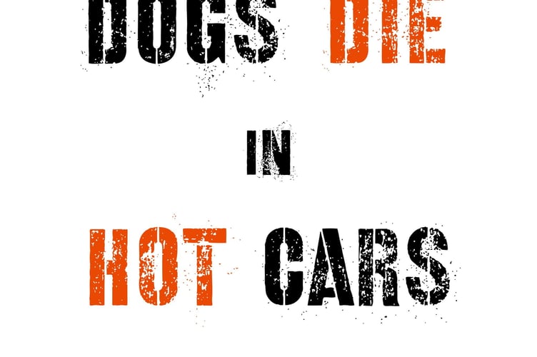 Newton Abbot police issue warning after rise in reports of dogs being left in hot cars.
Picture Newton Abbot Police (22-5-23)