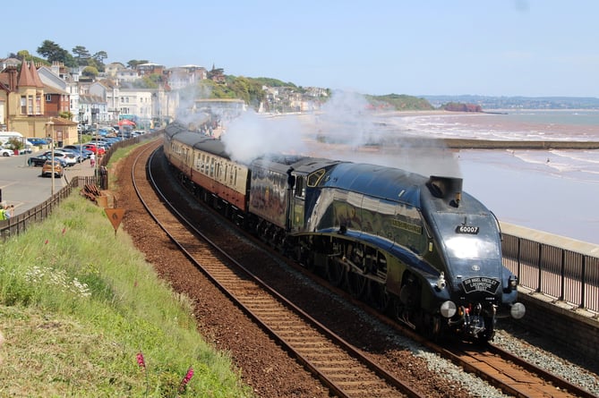 1937 steam train Sig Nigel Gresley passing through Dawlish, pictured by Thomas Mills