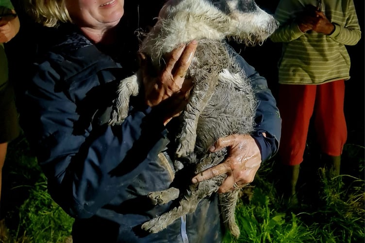 The moment Spike the Jack Russell dog was reunited with his owner, in rather a smelly state after his ordeal down a sewer.
Picture: Buckfastleigh Fire Station (8-6-23)