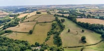 Devon to benefit from Atlantic rainforest recovery programme