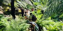 Open day sheds light on mysterious fern garden 