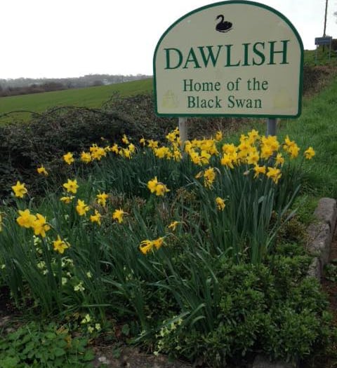 Last chance to enter Dawlish In Bloom 