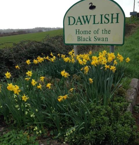 Last chance to enter Dawlish in Bloom 