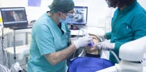 There are no dentists in Devon taking NHS patients