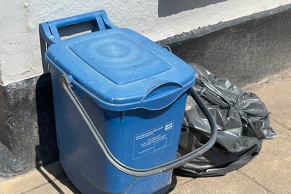 Devon residents urged to 'use the food waste bin'
